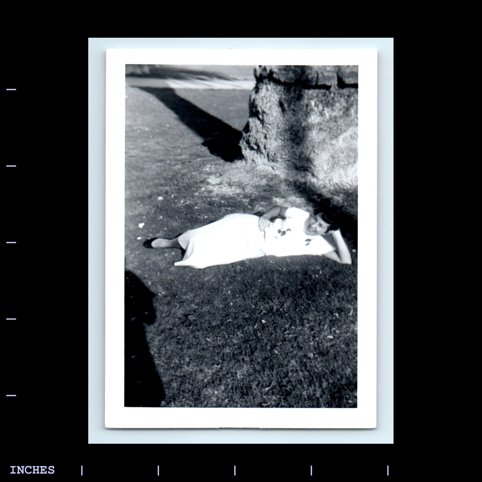Old Vintage Photo LEGGY WOMAN RELAXING IN PARK UNDER TREE SHADOW