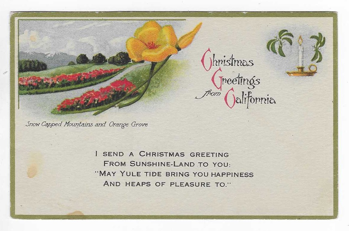 Vtg Postcard Christmas Greetings From California Orange Grove Snow Litho No 21 Vtg Postcard Christmas Greetings From California Orange Grove Snow Litho No 21