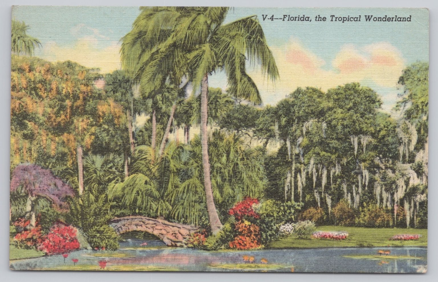 Vero Beach FL McKee Jungle Gardens Tropical Wonderland Linen Postcard 1954