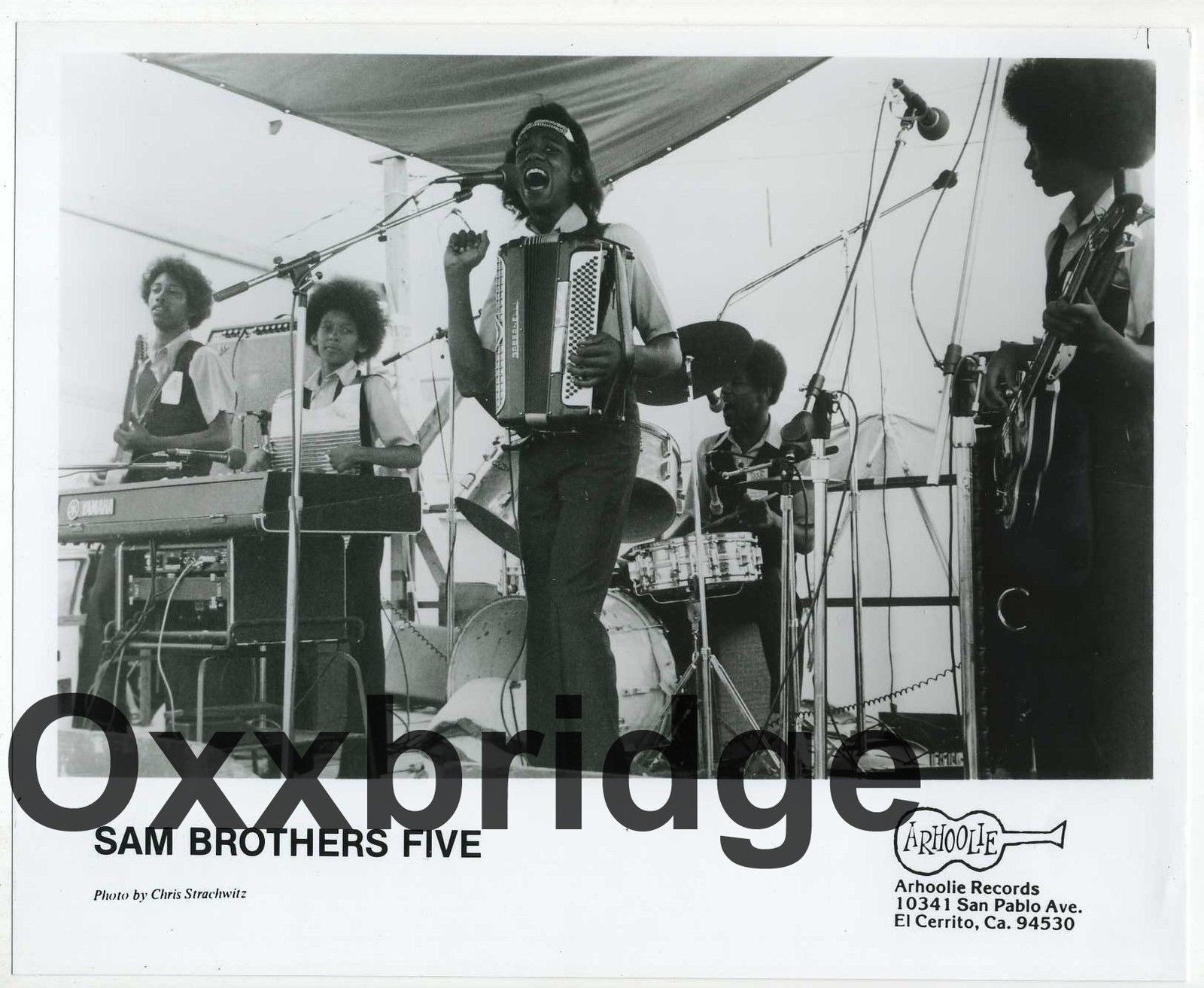 SAM BROTHERS FIVE Original Photo ARHOOLIE RECORDS Rare Zydeco Cajun Blues Band