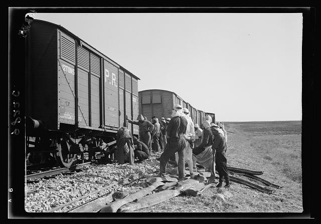 Photo:Lydda-Jerusalem Railroad Repairs Palestine 1938 Workers Freight Cars