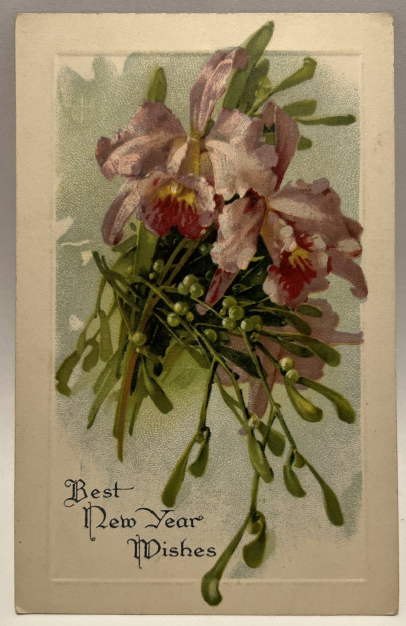 Best New Year Wishes, Purple Iris, Mistletoe, Vintage Postcard Best New Year Wishes, Purple Iris, Mistletoe, Vintage Postcard