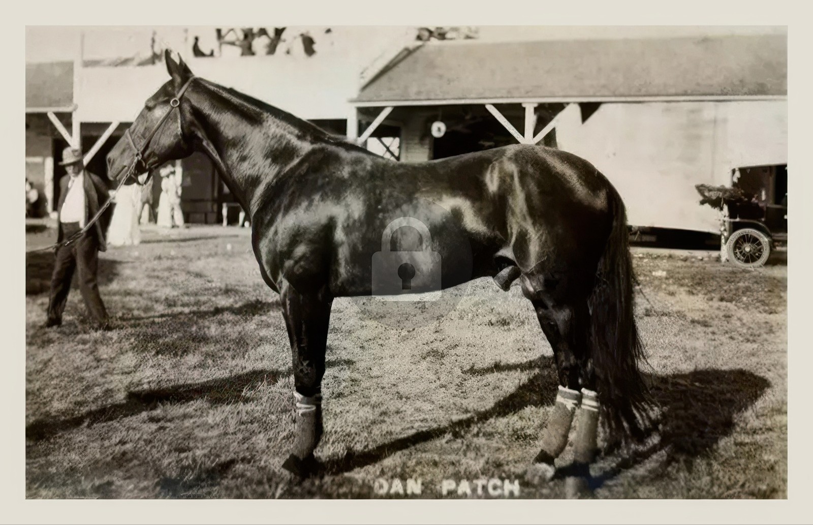 1900's Dan Patch Harness Race Champion RPPC Photo Postcard COPY
