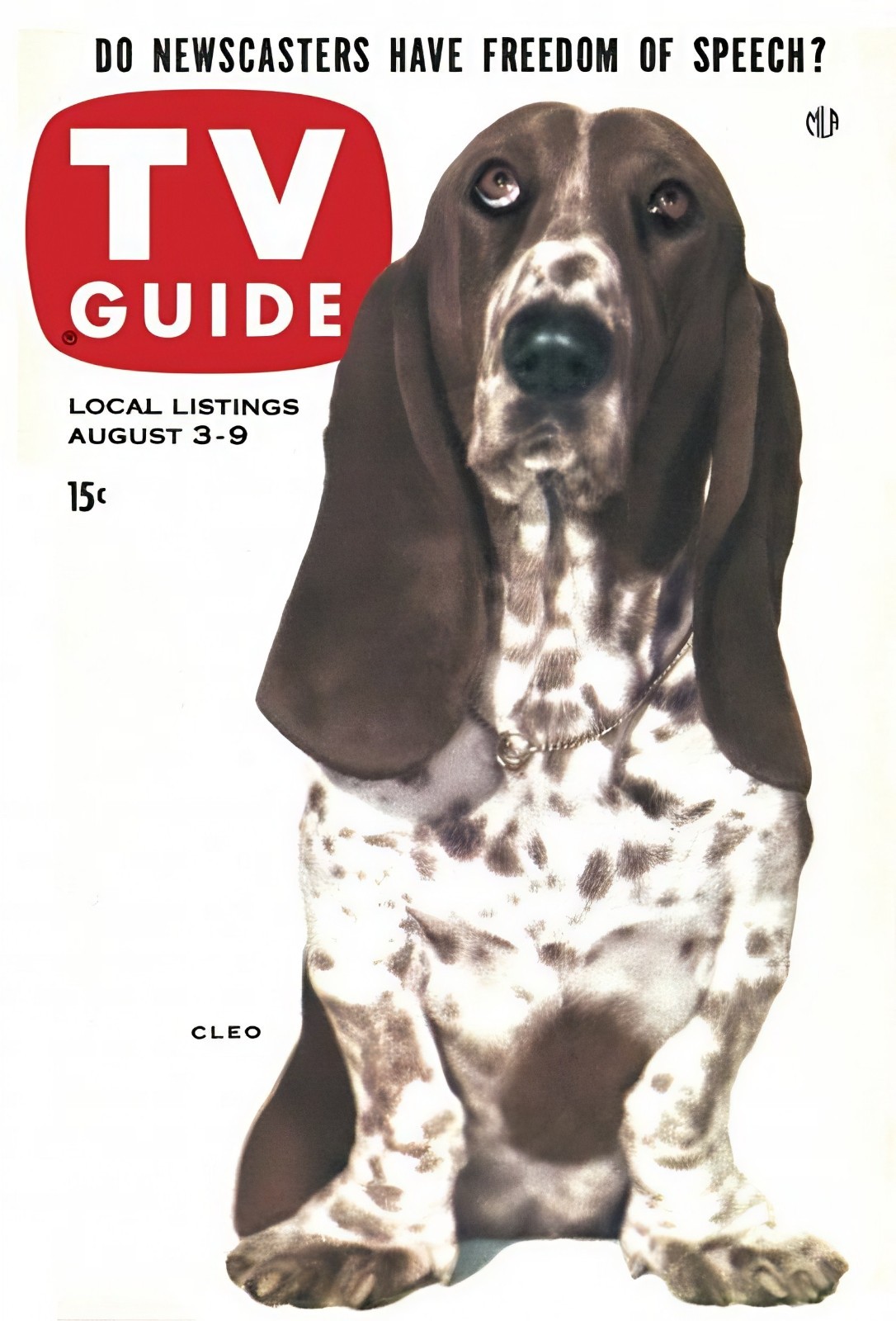 CLEO the Basset Hound - 1957 TV Show - Magazine Cover - 5 x 7 inch Photo CLEO the Basset Hound - 1957 TV Show - Magazine Cover - 5 x 7 inch Photo
