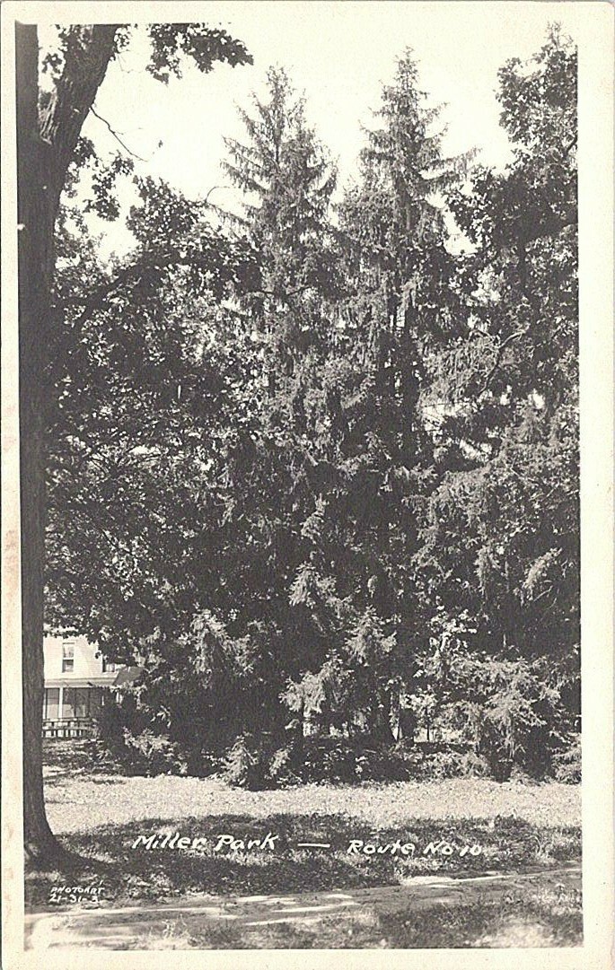 RPPC Madison Wisconsin Miller Park on Route No. 10 - early 1900s
