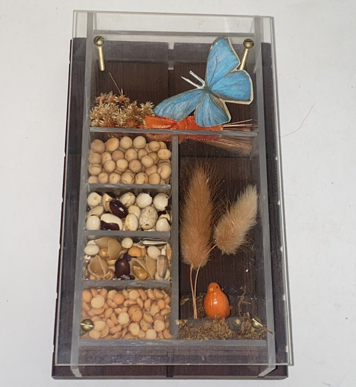 Vintage Dried Butterfly Flowers & Grains Wood & Acrylic Shadow Box Wall Hanging
