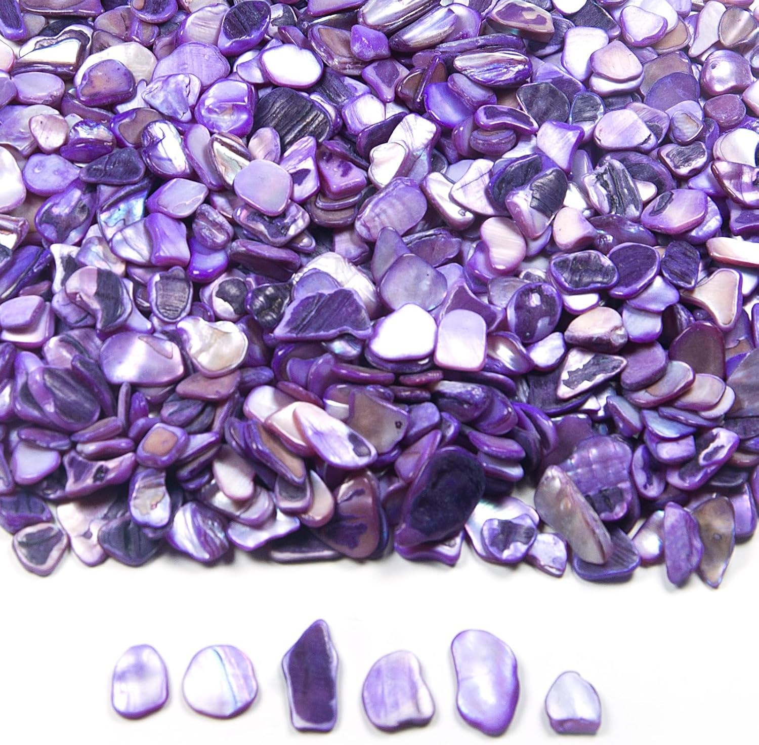 Purple Crushed Shells for Crafts, Small Natural Crushed Seashells Pieces Chips Purple Crushed Shells for Crafts, Small Natural Crushed Seashells Pieces Chips