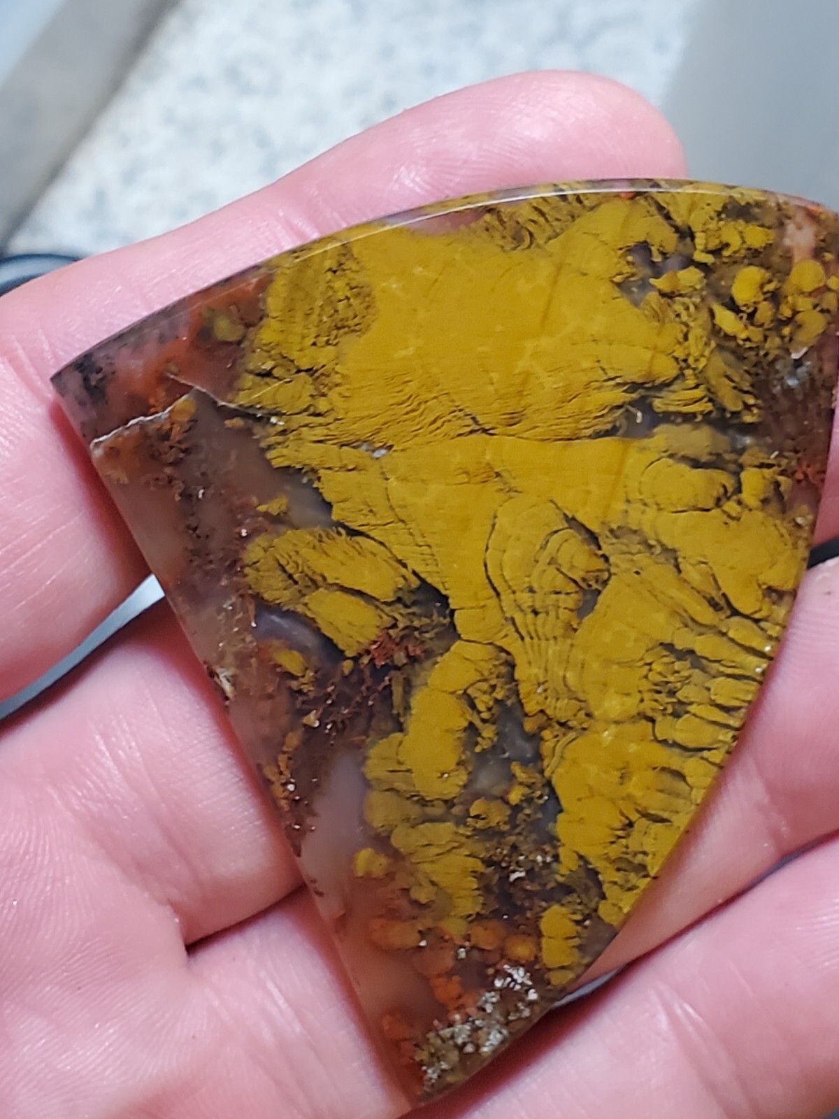 Nepomo Nipomo Marcasite In Agate Polished Cab 22g California Rare Yellow