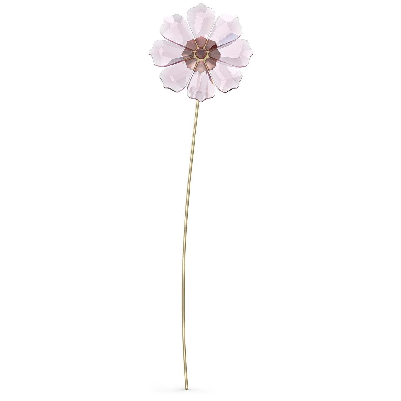 Swarovski crystal figurine Garden Tales Cosmos Flower #5557801 New in Box
