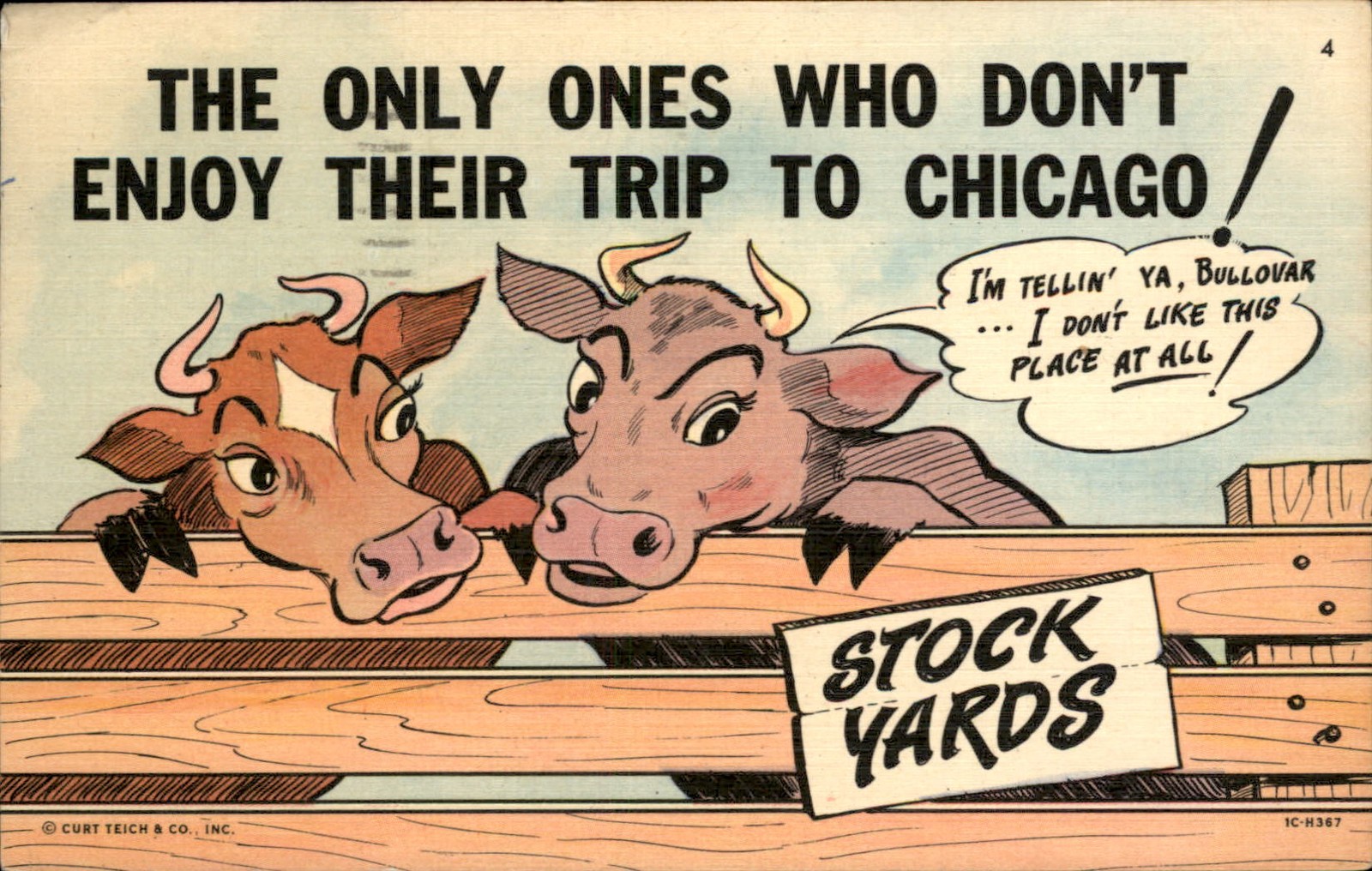 Chicago IL Stockyards Comic Curt Teich Series Anthropomorphic Cows c1940 PC