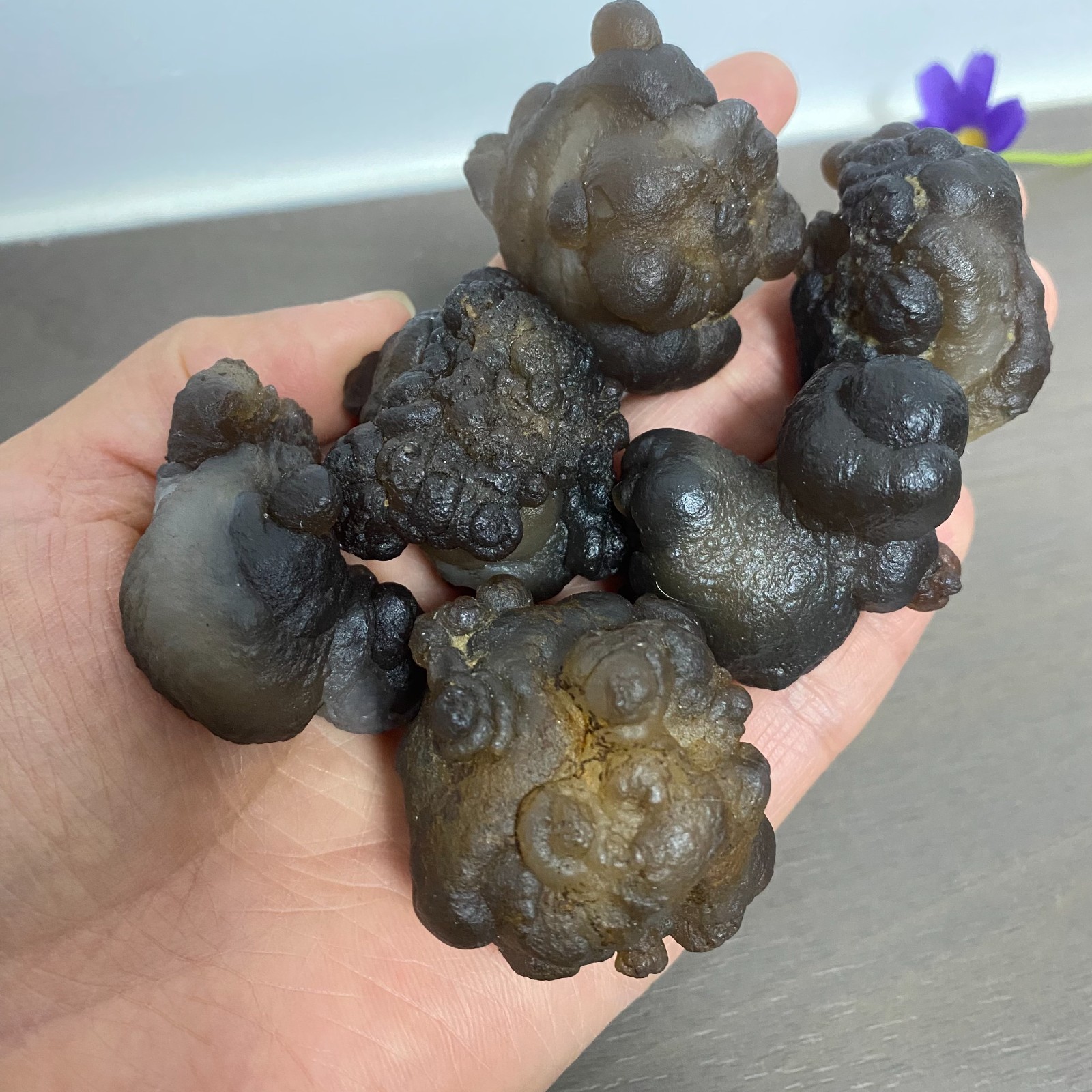 256g 6pcs  Bonsai Suiseki-Natural Gobi Agate Eyes Stone-Rare Stunning Viewing