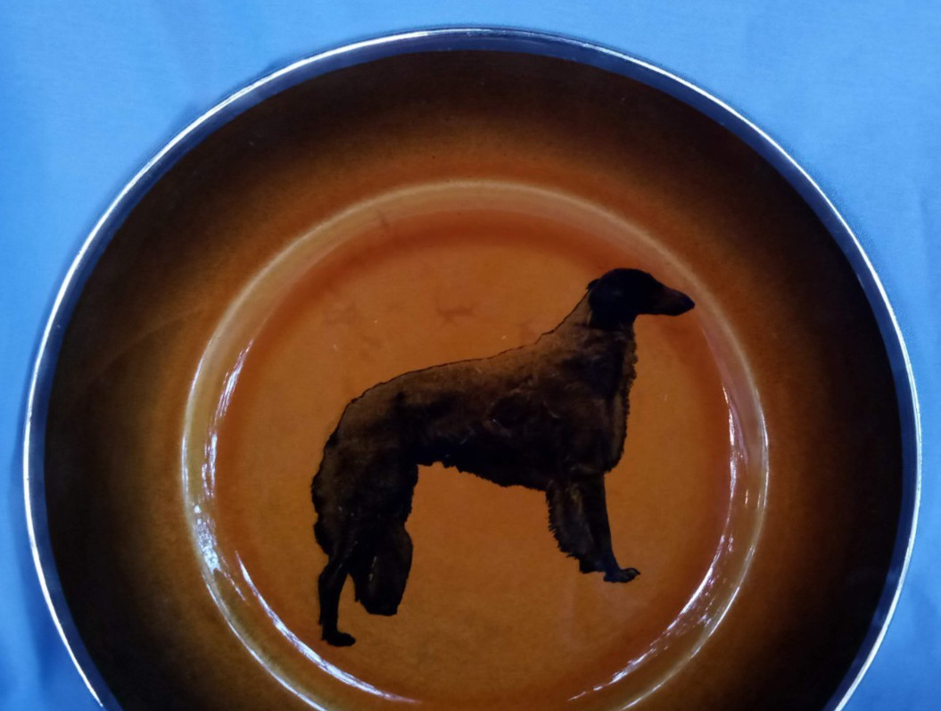 BORZOI DOG PLATE RIDGWAY ENGLAND SILVER TRIM 9\ BORZOI DOG PLATE RIDGWAY ENGLAND SILVER TRIM 9\