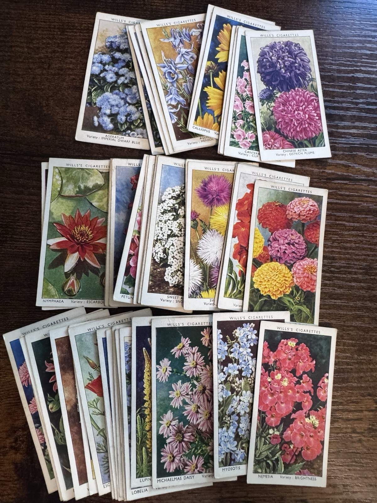 1938 W. D. & H. O. WILLS GARDEN FLOWERS 50 TOBACCO CARD SET 1938 W. D. & H. O. WILLS GARDEN FLOWERS 50 TOBACCO CARD SET