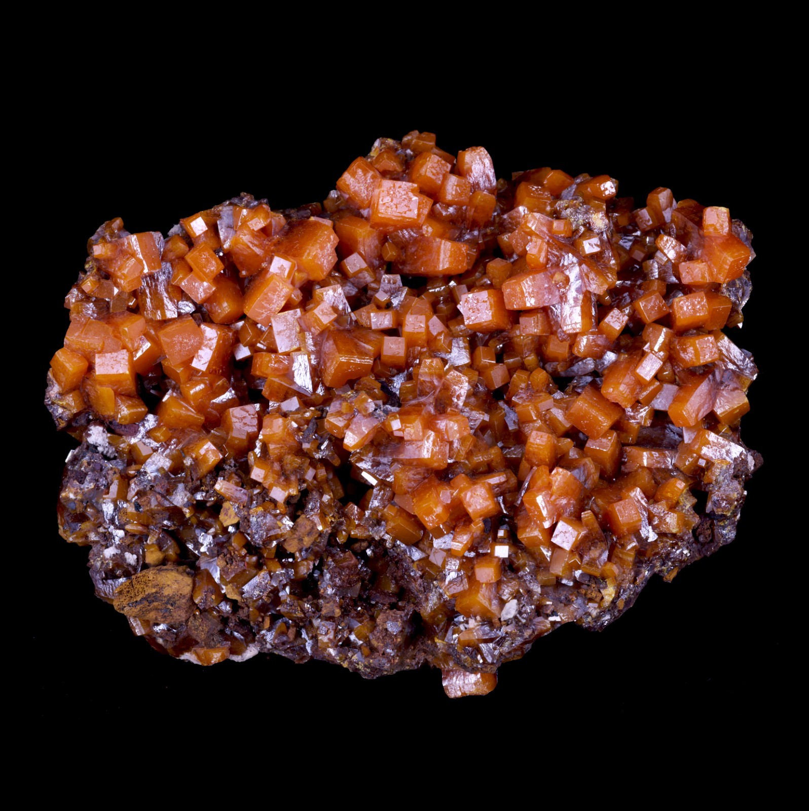 Exceptional Orange Wulfenite Plate Covered in Crystals - Los Lamentos, Mexico
