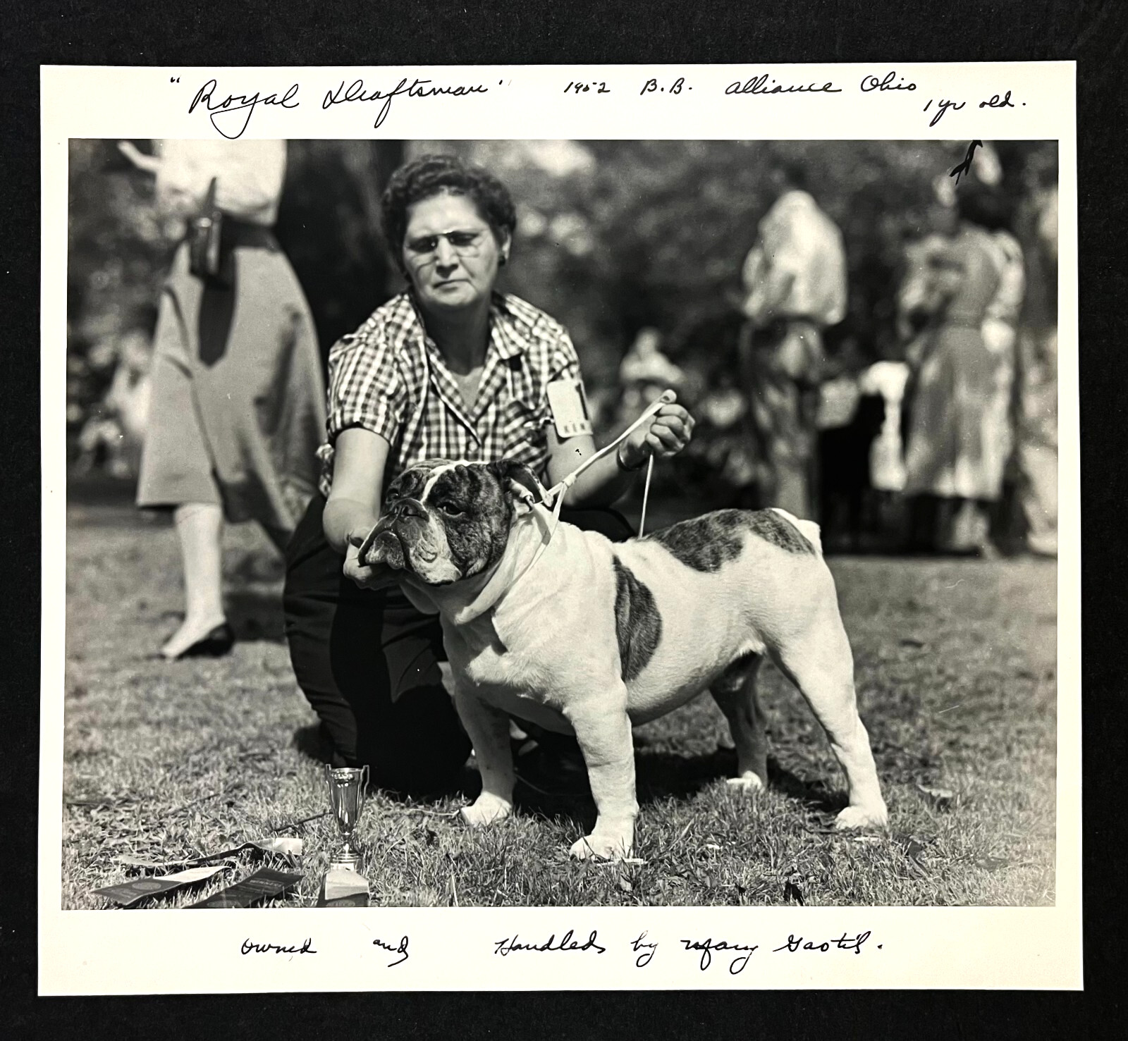 1952 Royal Draftsman Bulldog Contest Show Winner Alliance Ohio Vintage Photo