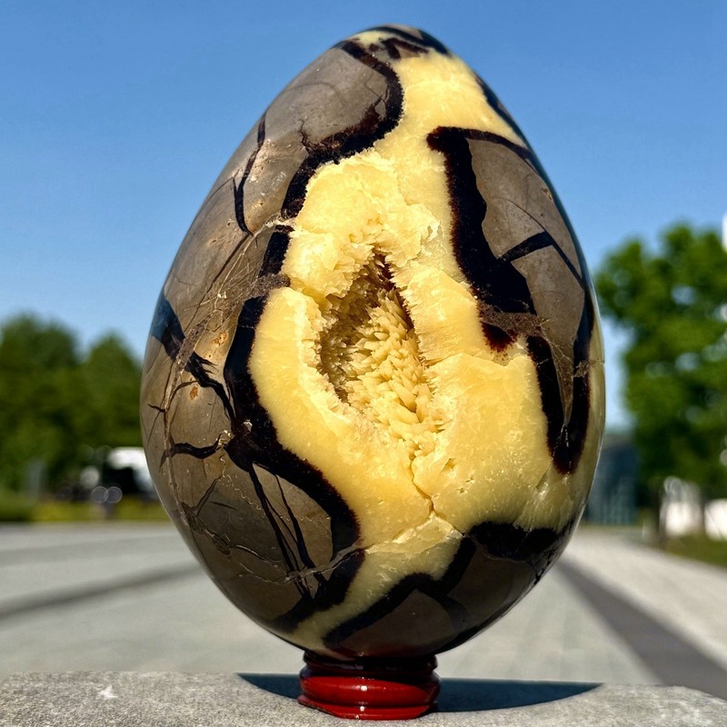 6LB Natural yellow turtle-back crystal cave quartz crystal mineral specimen