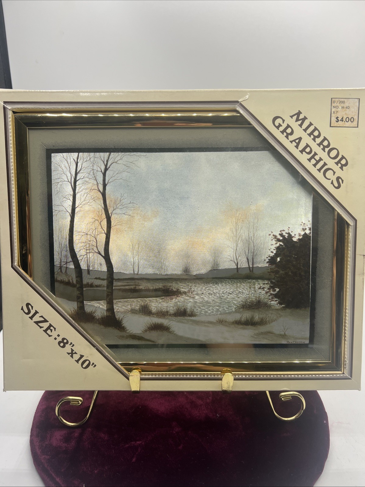 Vintage Mirror Graphics Landscape Art Mirrored 8x10 Framed Picture Woolworths