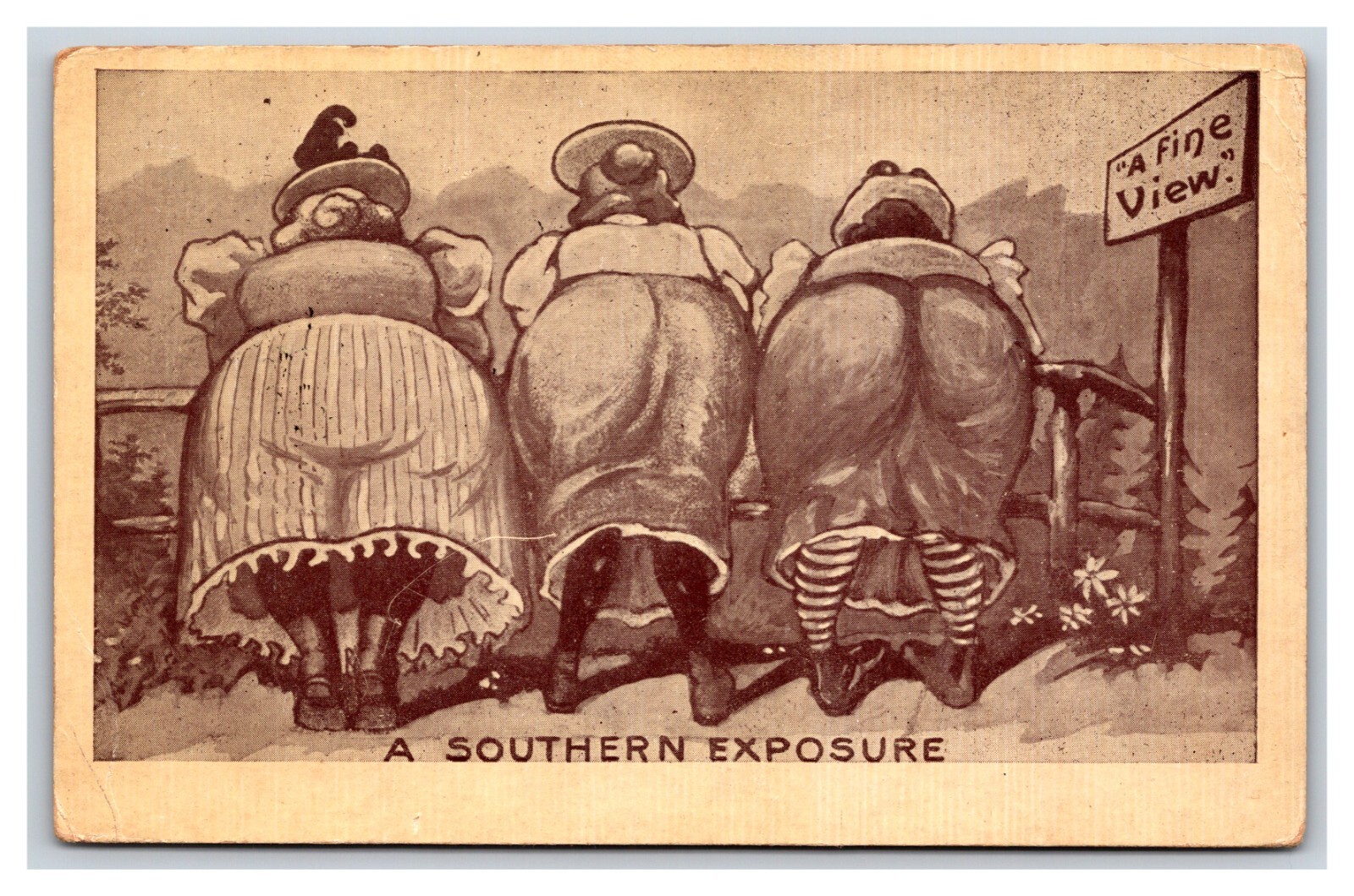 Comic Big Butts Southern Exposure A Fine View 1910 DB Postcard R23