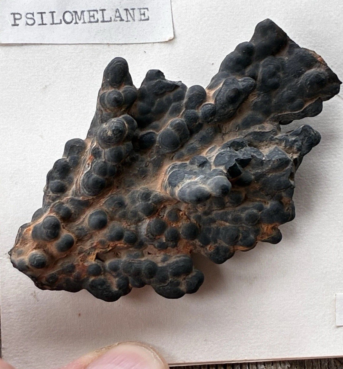 Psilomelane Specimen From Grandpa’s Minnesota Rock Shop Estate