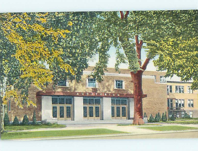 Unused Linen AUDITORIUM & GYM AT HIGH SCHOOL Watseka Illinois IL 60k cards t0247