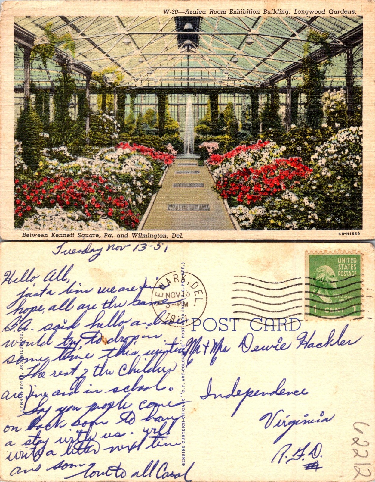 Wilmington DE Azalea Room Exhibit Longwood Gardens Postcard 62212