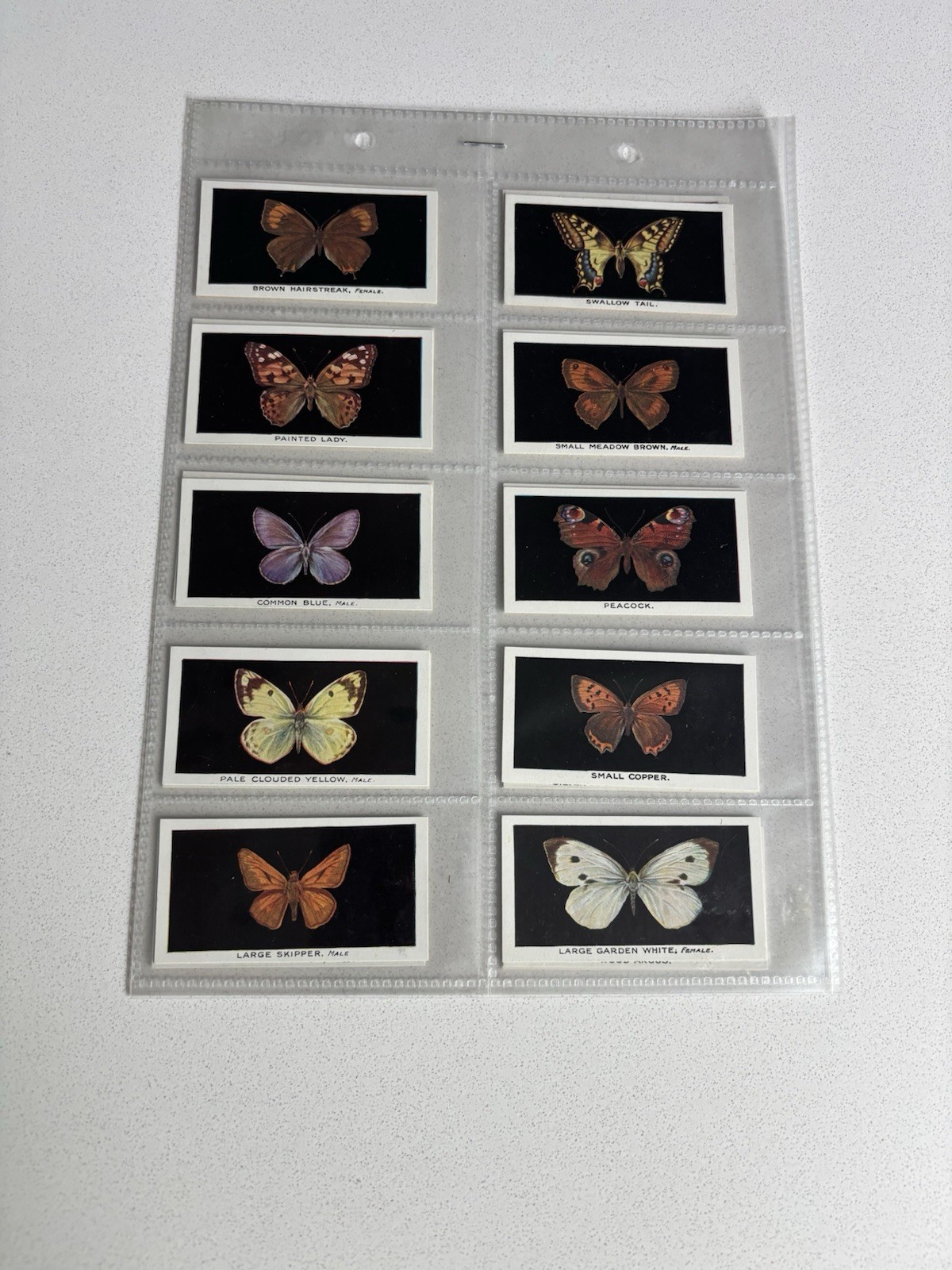 Abdulla Cigarette Cards 1935 British Butterflies Full Set of 25