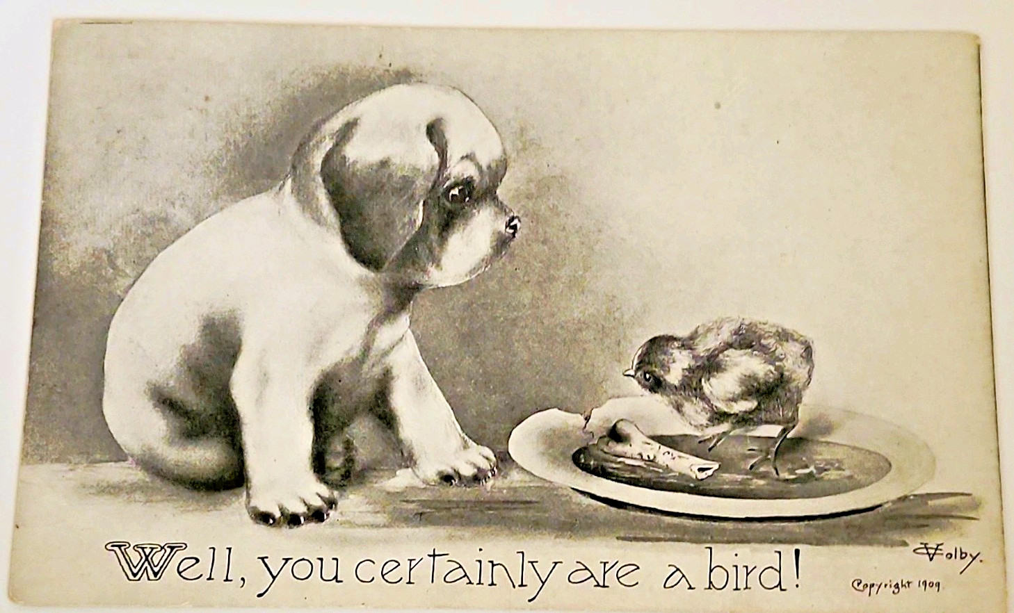 Antique 1909 Vincent Colby Dog Puppy Chick Postcard Unposted 1910 Comic Humor Antique 1909 Vincent Colby Dog Puppy Chick Postcard Unposted 1910 Comic Humor