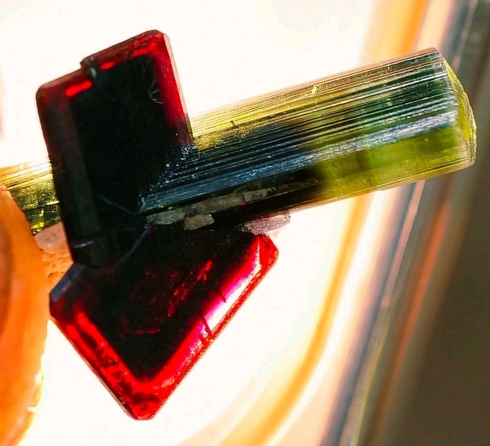 Rare Mangano Red Tantalite Crystals grown on Tourmaline Crystal(natural) -Pak