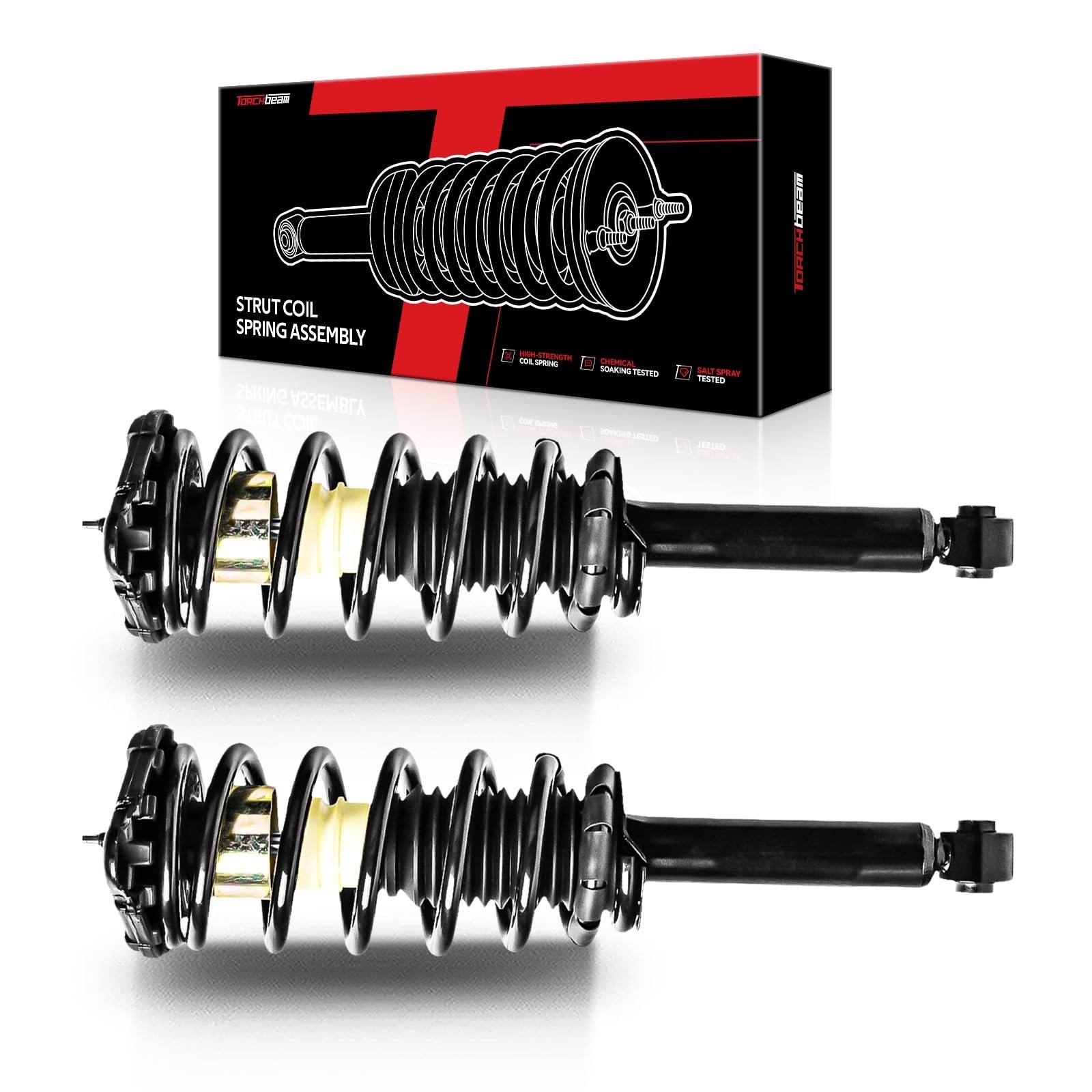 Torchbeam Rear Struts Assembly w/Coil Spring Shocks Absorber Replacement Nissan