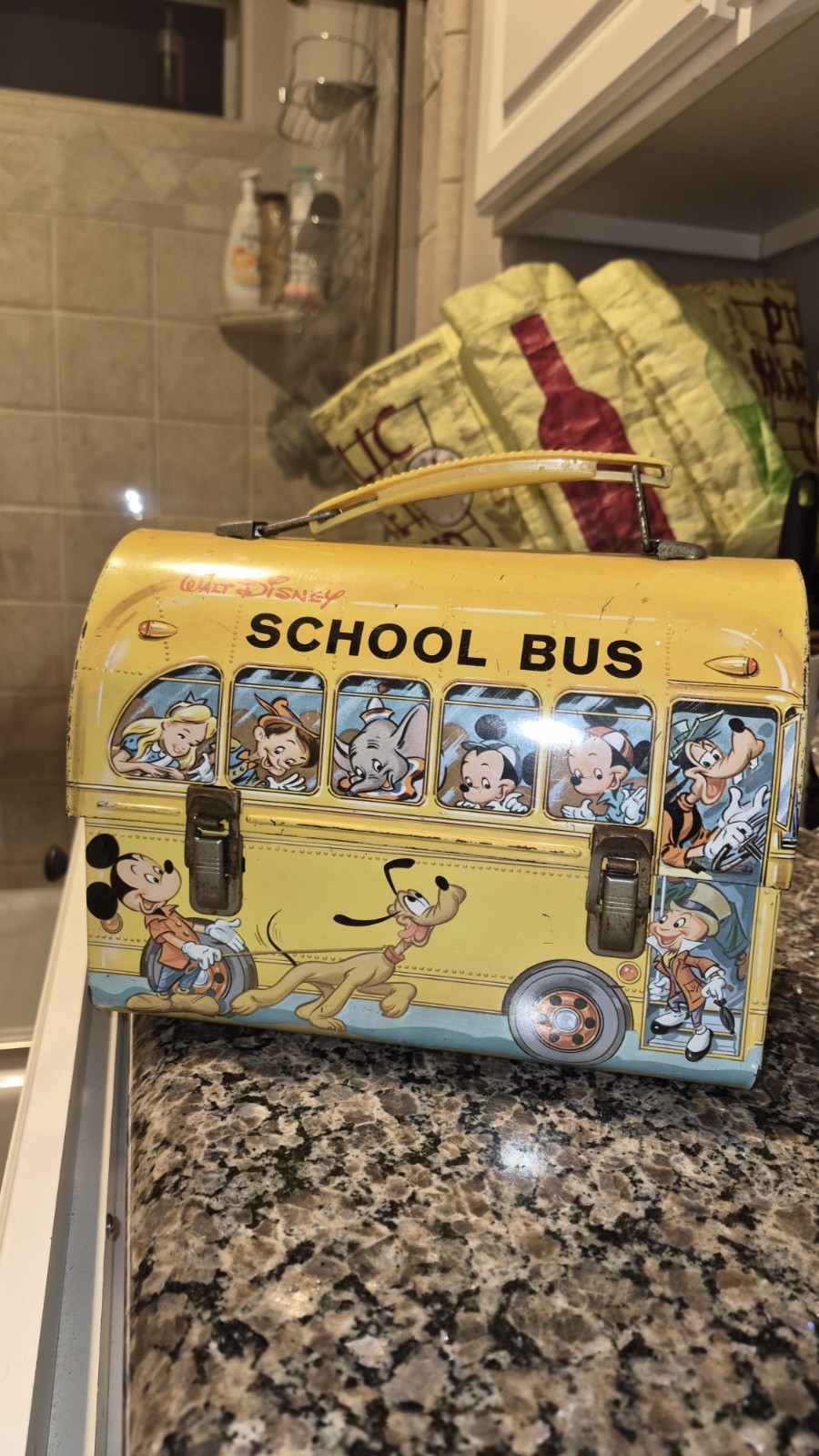 Vintage 1960s Walt Disney School Aladdin Bus Dome Lunch Box No Thermos