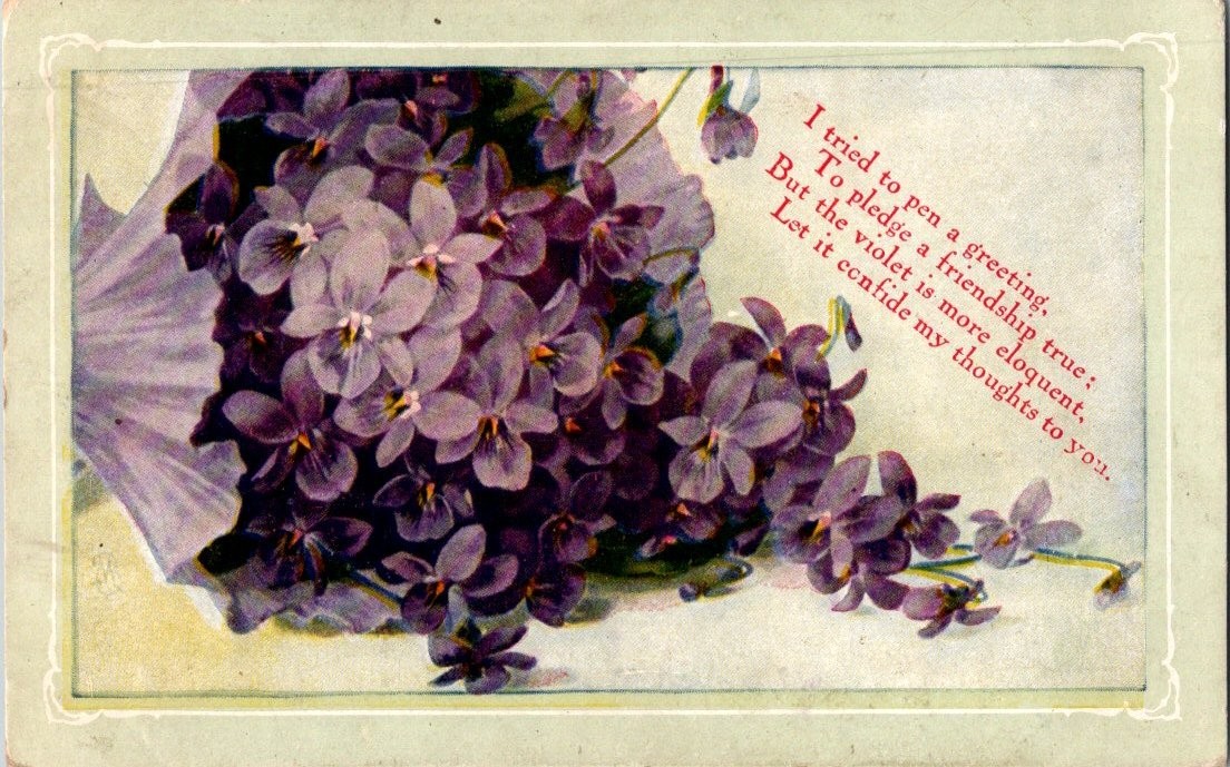Vintage Violets Floral Postcard c.1910s Posted Sentimental Verse