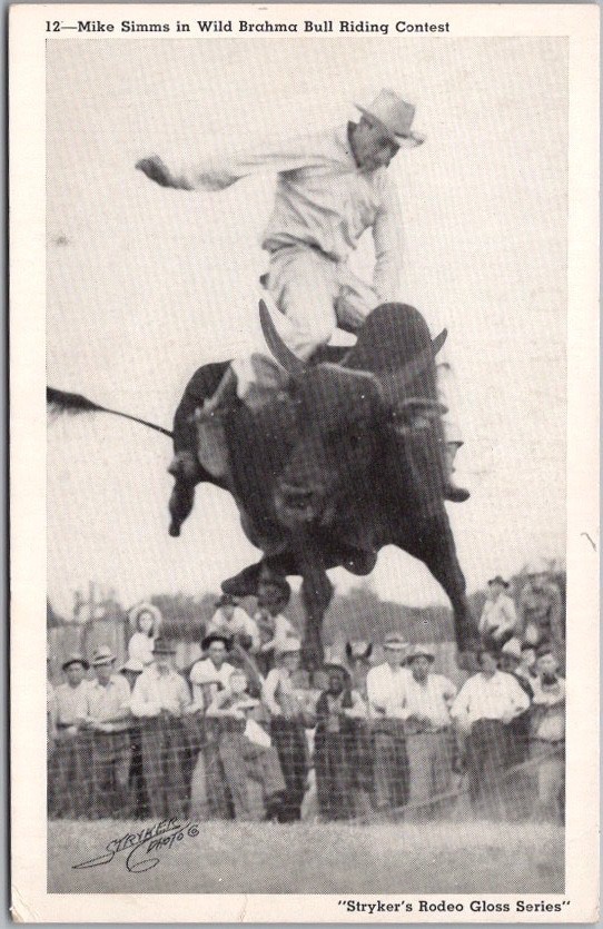 c1940s STRYKER Rodeo Postcard \
