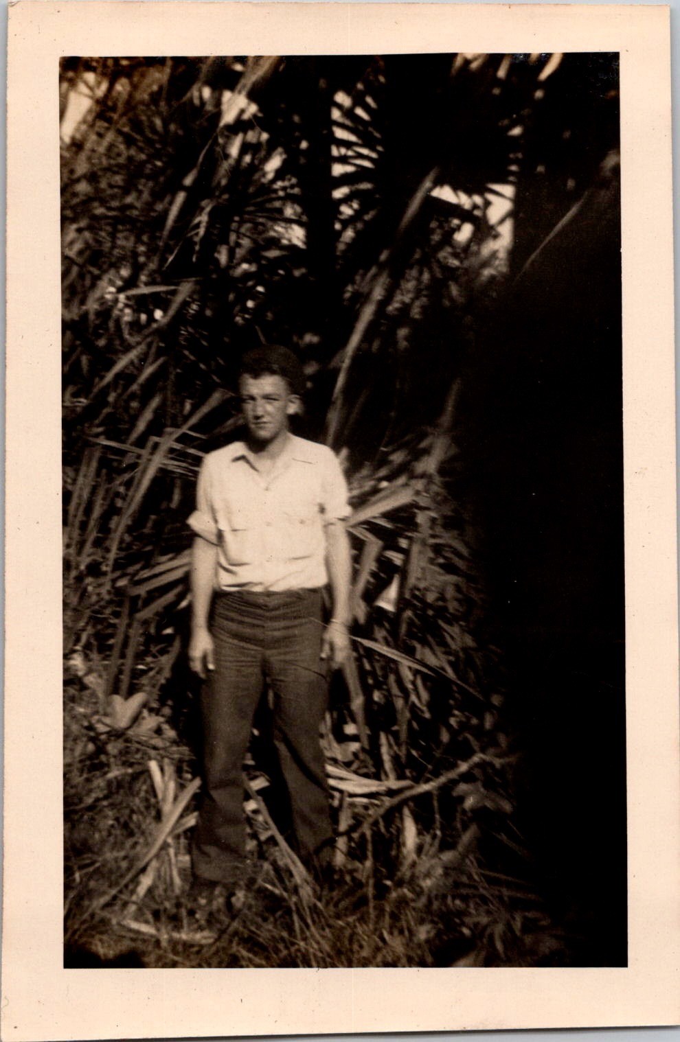 Vintage 1940s Snapshot Photo Young Man in Jungle Tropic Foliage