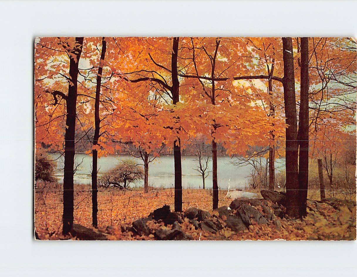 Postcard Beautiful Autumn