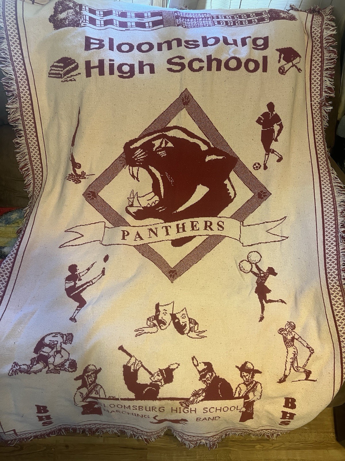 Bloomsburg High School Panthers Blanket 