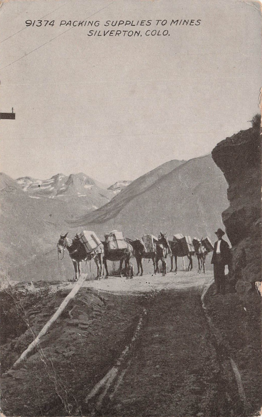 Mule Train Silverton CO Colorado Gold Silver Mine Mining Donkey Vtg Postcard 16A