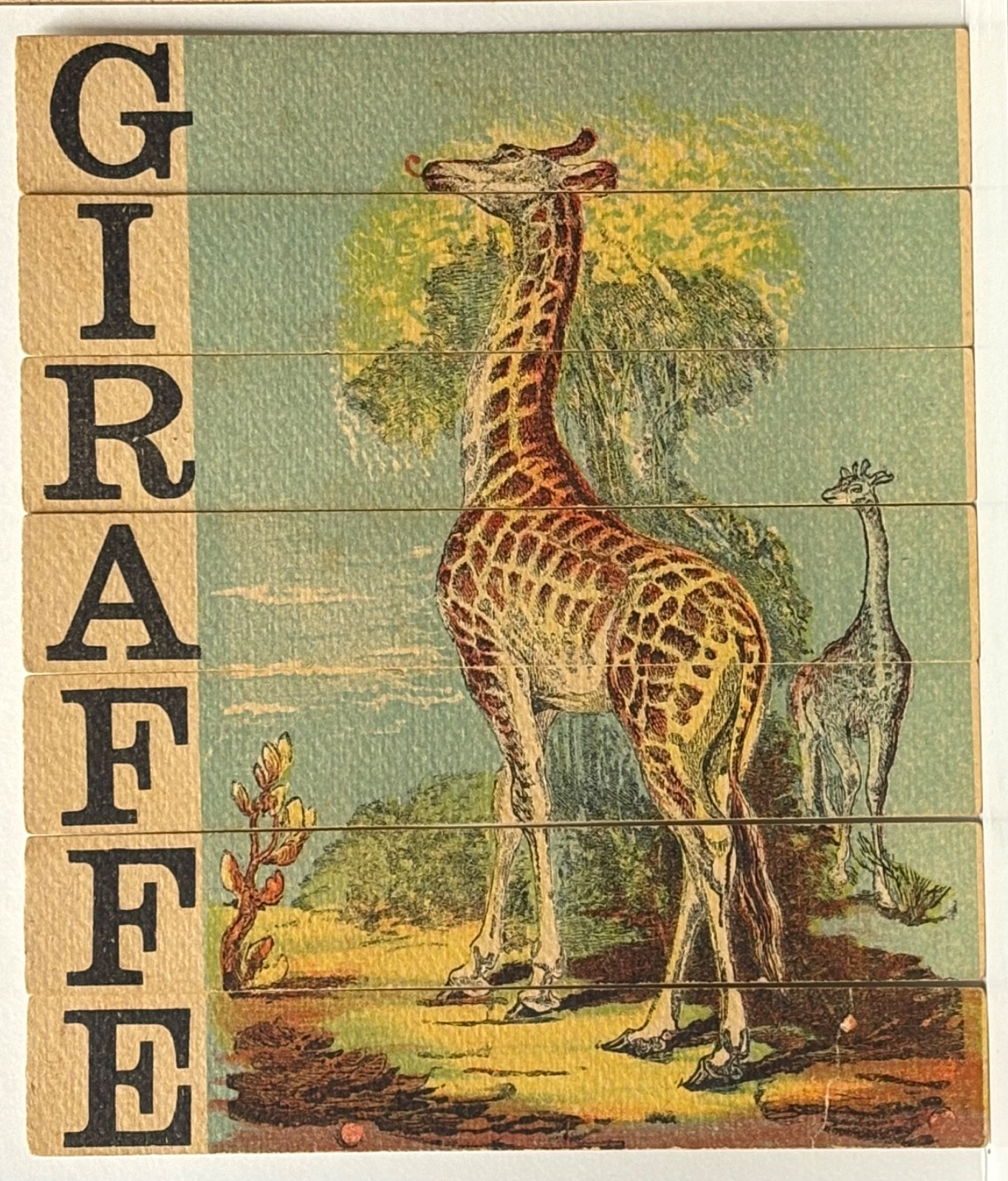 1880’S VICTORIAN DISSECTED SLAT PUZZLE GIRAFFE~GIRAFFE EATS FOLIAGE FROM TREE 1880’S VICTORIAN DISSECTED SLAT PUZZLE GIRAFFE~GIRAFFE EATS FOLIAGE FROM TREE