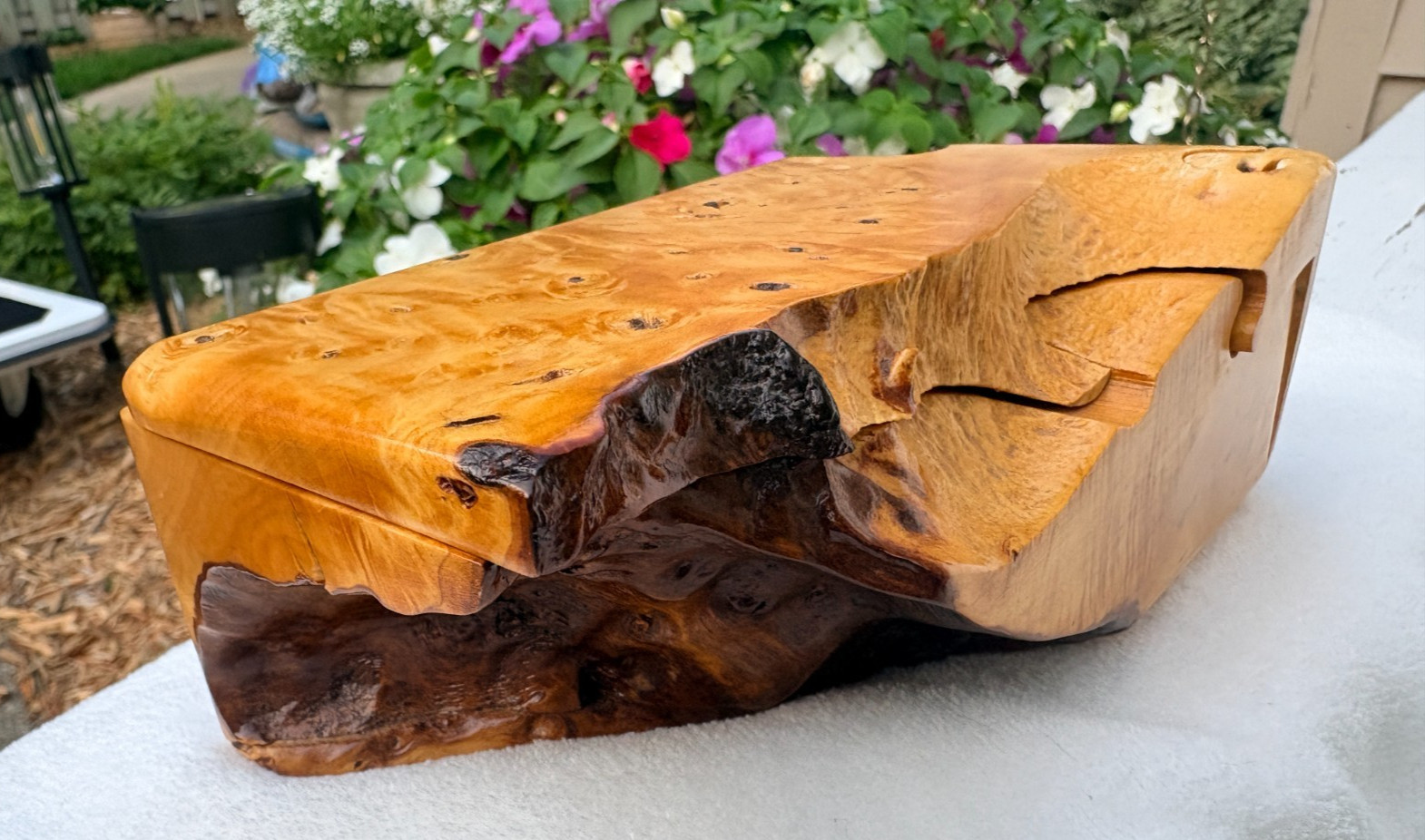 Jeff Vollmer Hand Carved BuckEye Burl Wood Puzzle Trinket Box w/ Secret Chamber