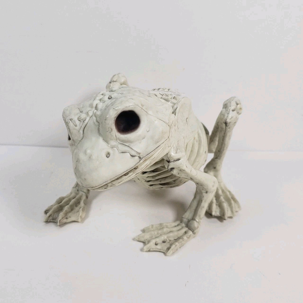 Crazy Bones By Seasons Skeleton Frog