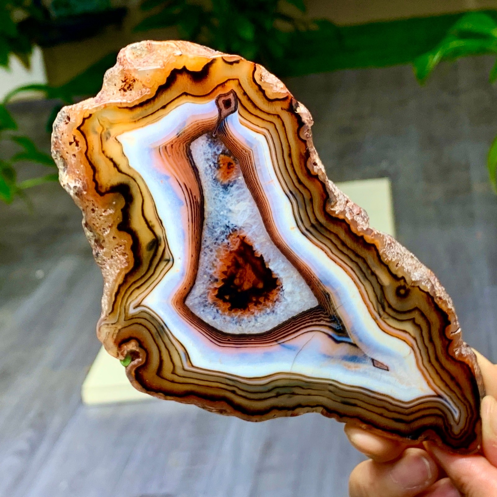 351G Natural Red Stripe Agate Slice Quartz Crystal  Slab Ore Specimen
