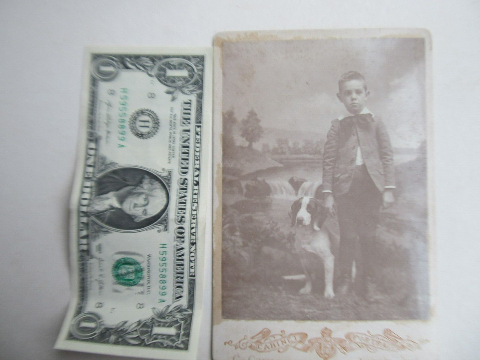Great Victorian c1875 Cabinet Photo, BOY & HIS DOG, Hound, Angola, Indiana