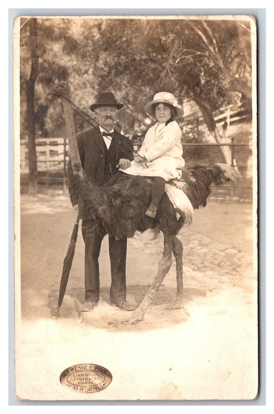 RPPC Girl Riding Ostrich CAWSTON OSTRICH FARM Pasadena CA Prop portrait