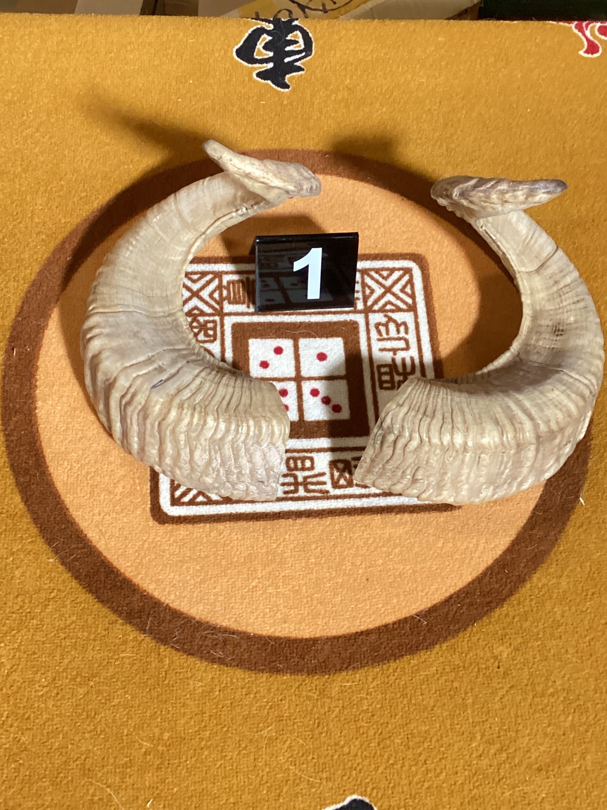 CHOICE OF Ram Horn MATCHED PAIRS from Nepal Himilayan  FROM GEORGIA