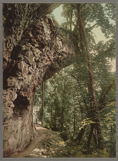 Photo:Niagara Glen Footpath c1898