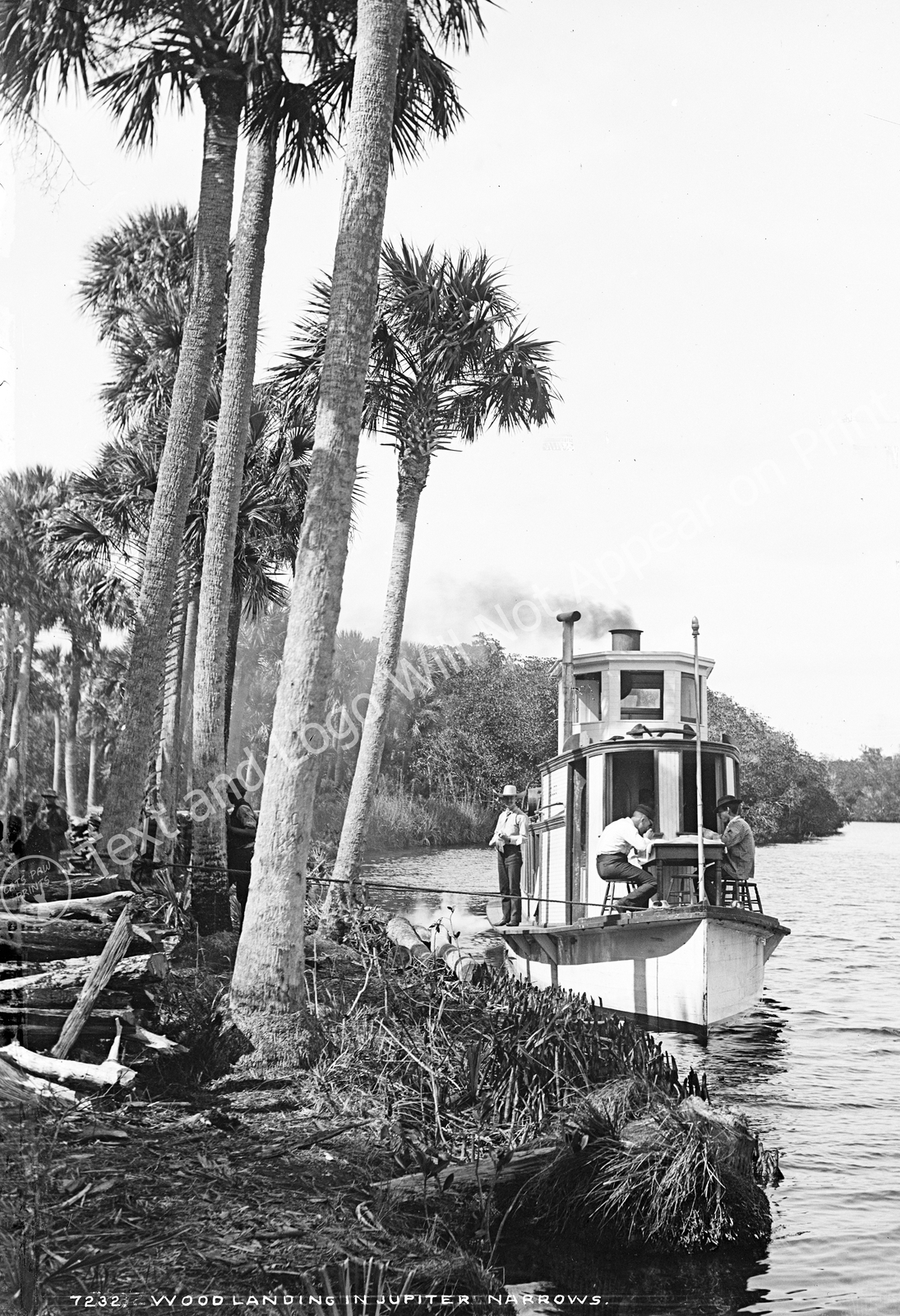 1880-1897 Wood Landing in Jupiter Narrows, Florida Old Photo 13\
