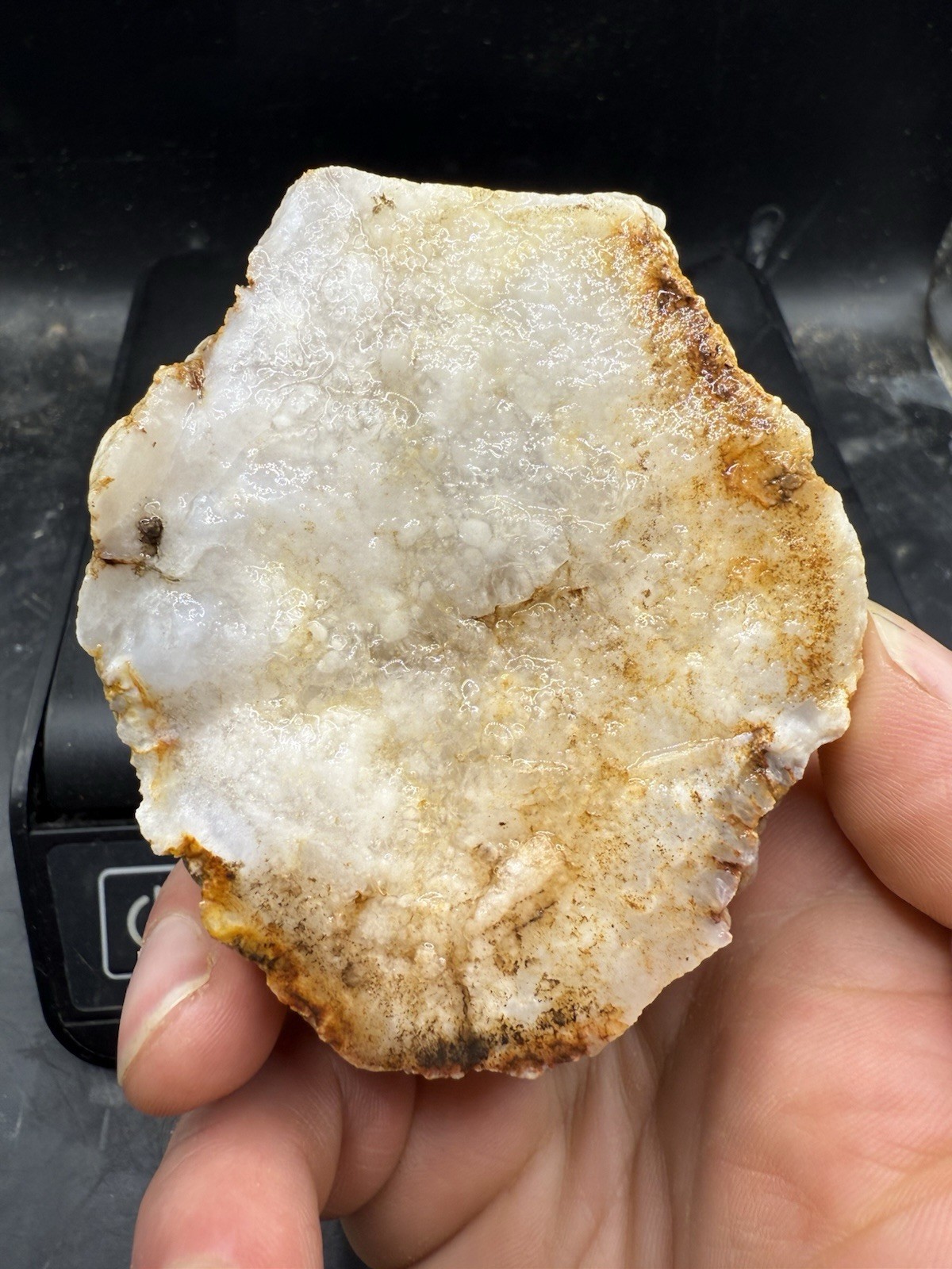 Fossilized Indiana Geode Crystal White Agate Crinoid 1,760 Carats