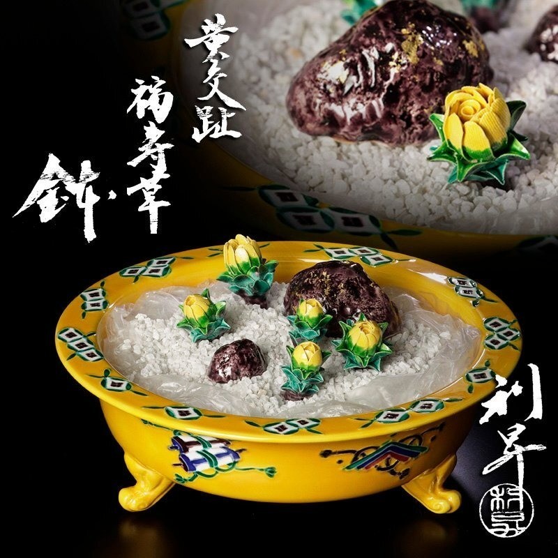 Kato Risho III Yellow Kouchi Fukujuso Bonsai Bowl Tea Ceremony Japan Rare
