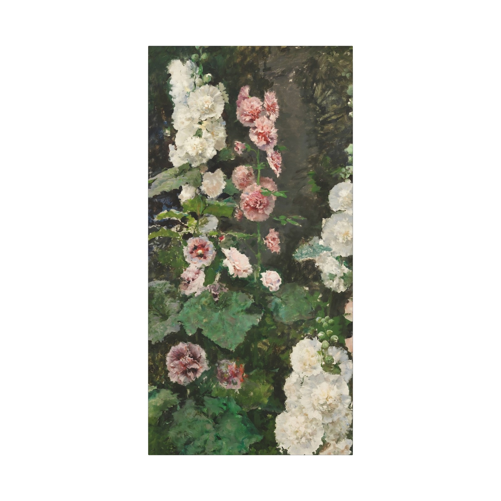 Fortuny, Mariano - Hollyhocks - Canvas Wall Art