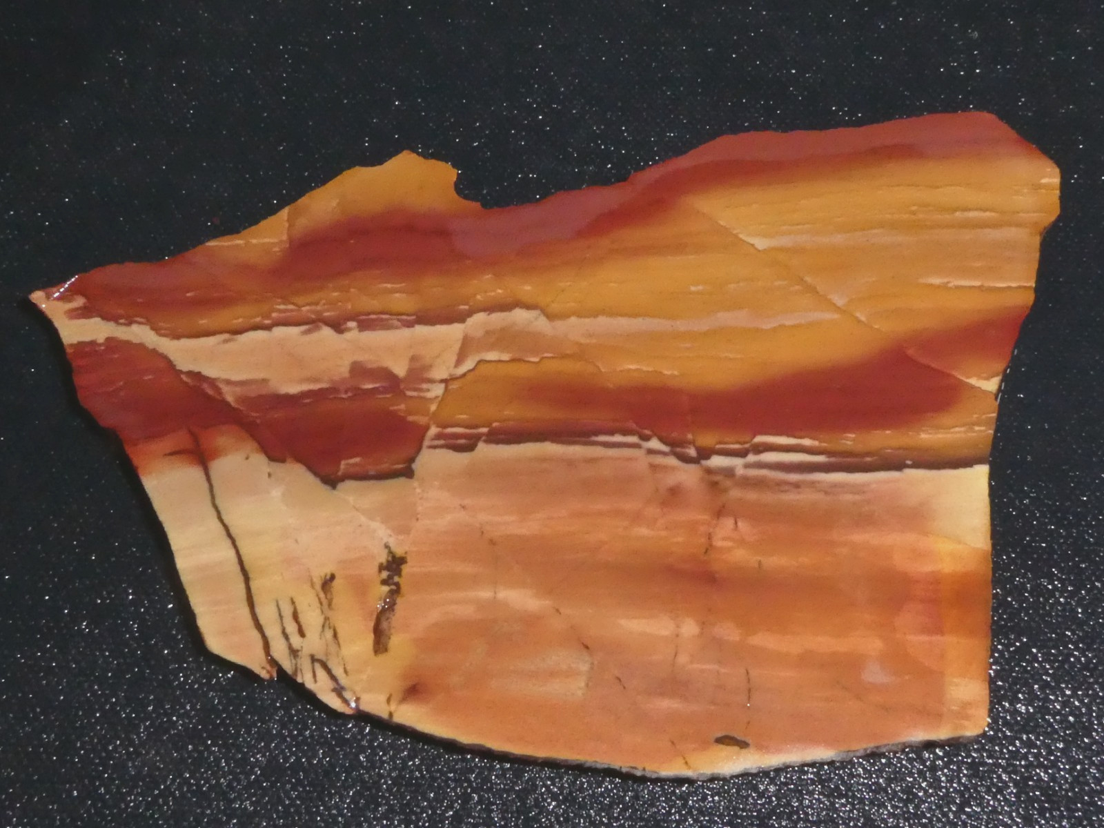 Owyhee Dendritic Jasper slab- 5 5/8