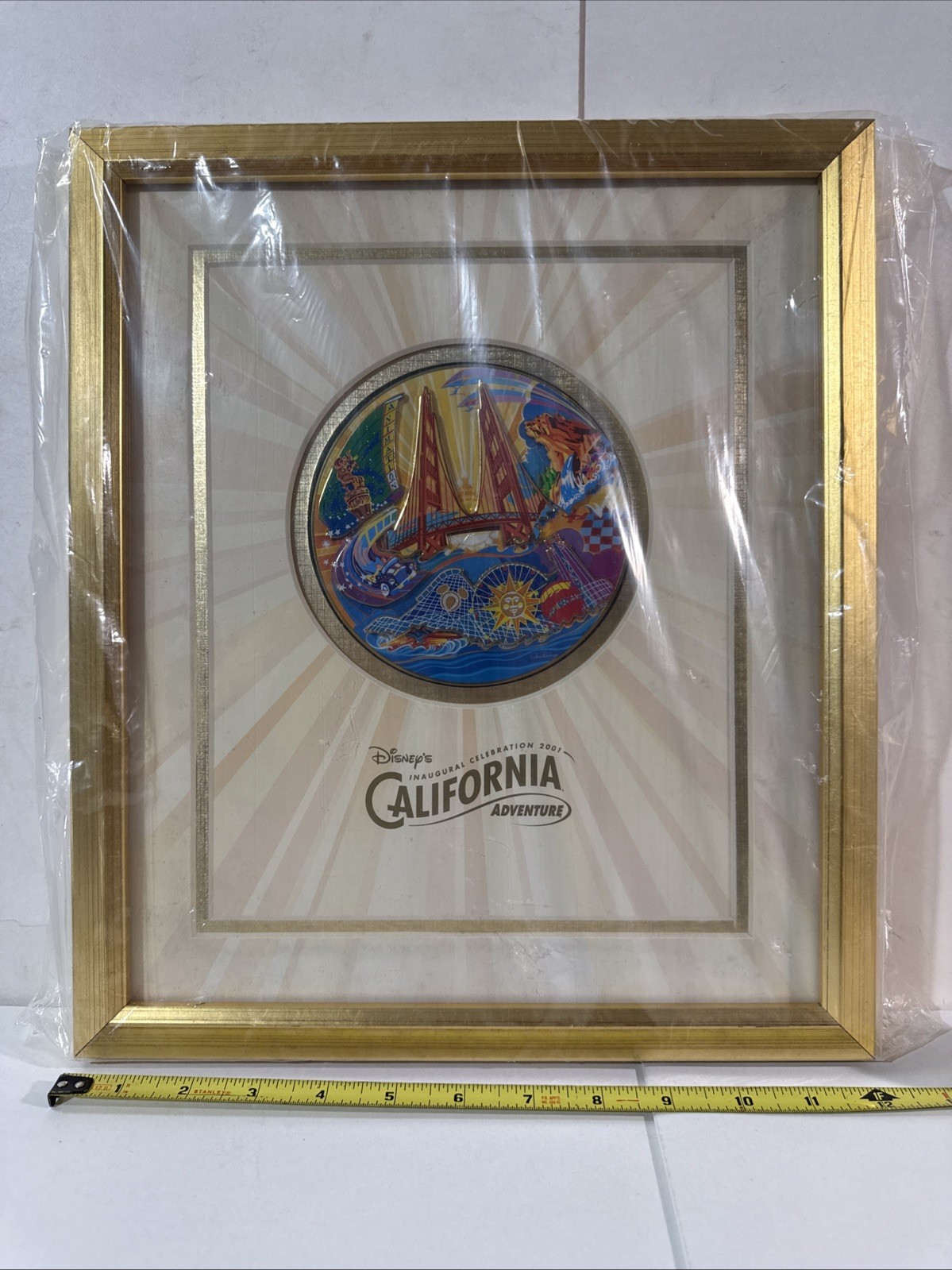 2001 Disney’s California Adventure Inaugural Limited Ed Framed Pin On Pin Set CA